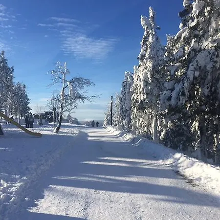 Haus Am Wald Lejlighed Sankt Andreasberg