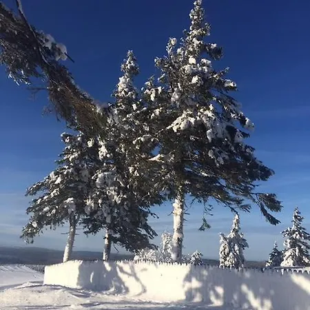 Haus Am Wald Lejlighed