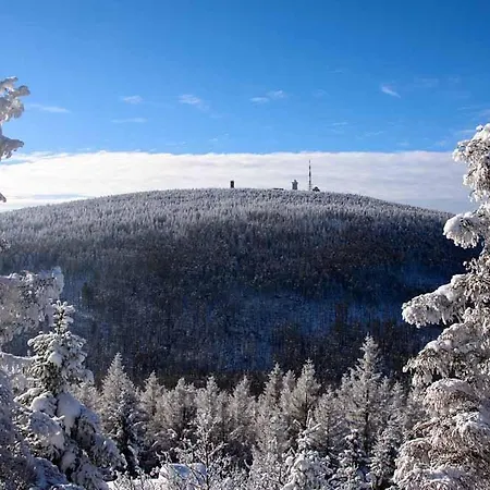 Lejlighed Haus Am Wald Sankt Andreasberg