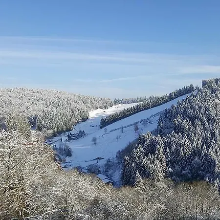 Lejlighed Haus Am Wald Sankt Andreasberg