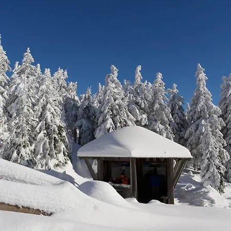 Lejlighed Haus Am Wald *
