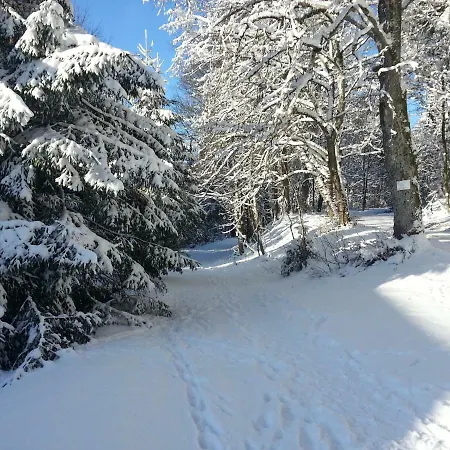 Haus Am Wald Lejlighed