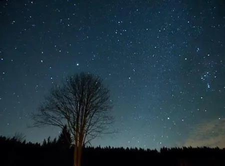 Haus Am Wald Lejlighed Sankt Andreasberg